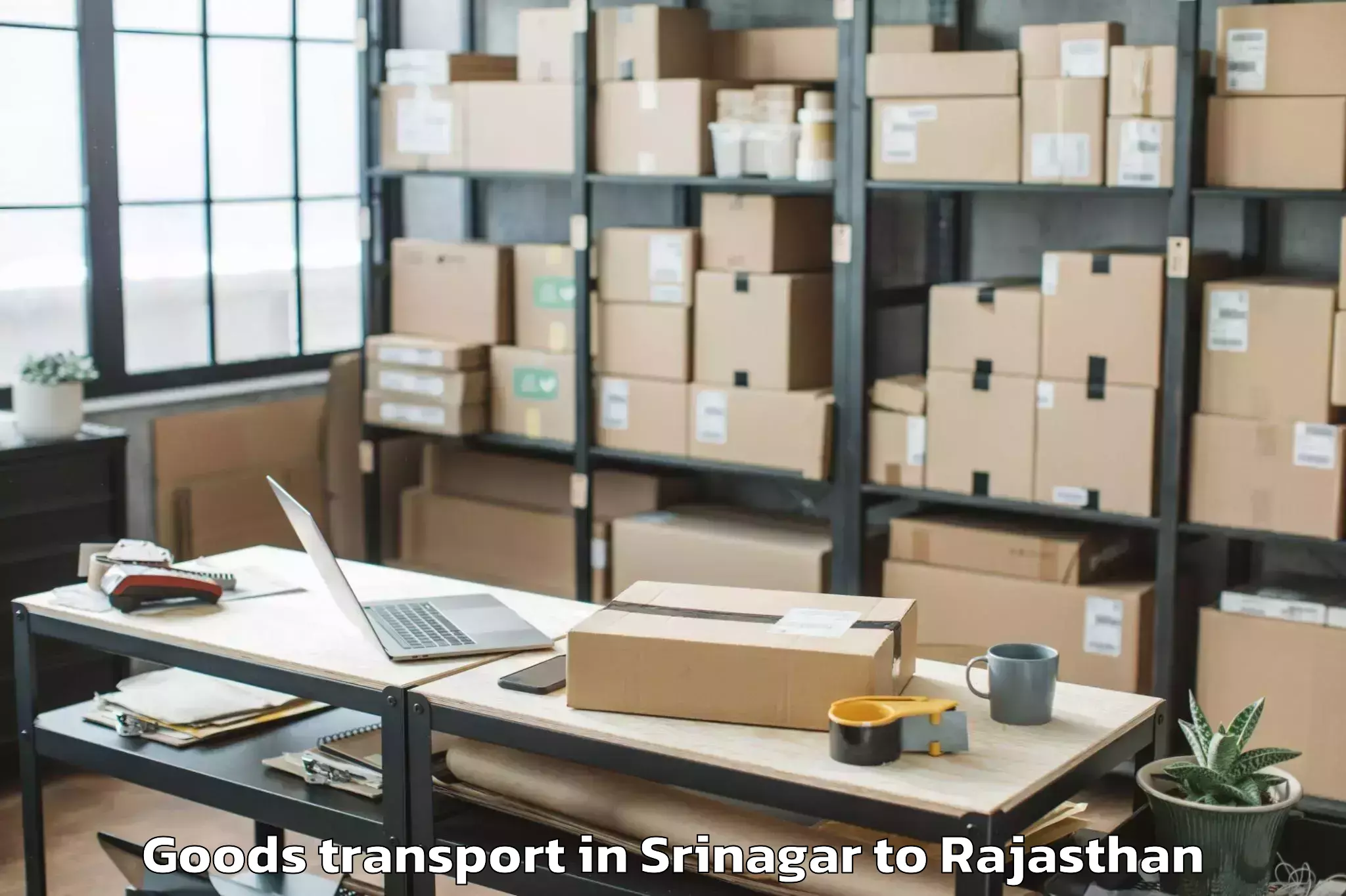 Srinagar to Dholpur Goods Transport Booking